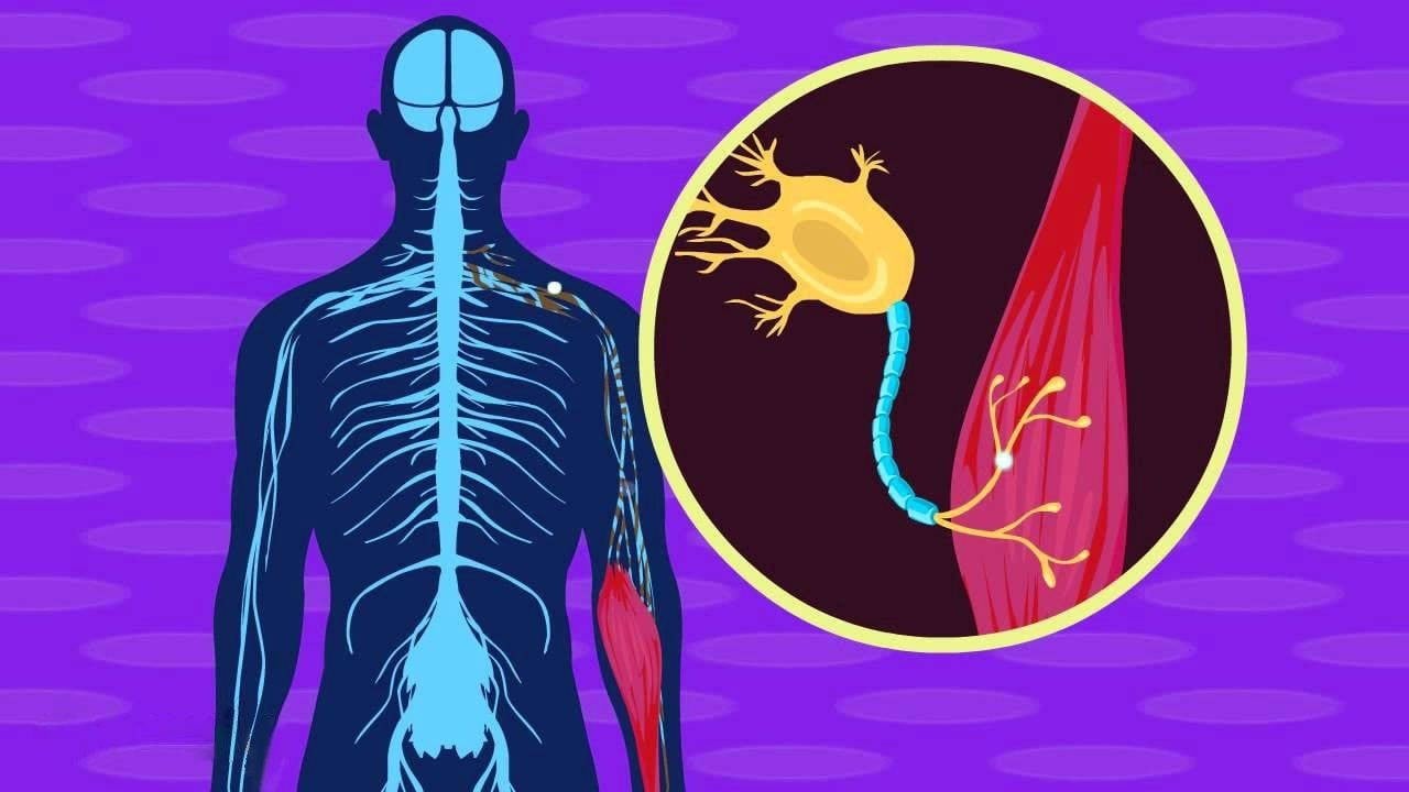 Optik fizik kuralları yeniden yazıldı! MIT'den tıp dünyasında çığır açan keşif