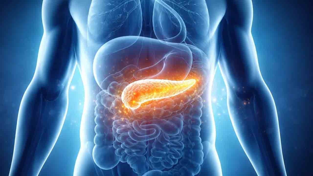 Pankreas kanserine karşı bağışıklık uyanıyor: Yeni antikor başarı sağladı