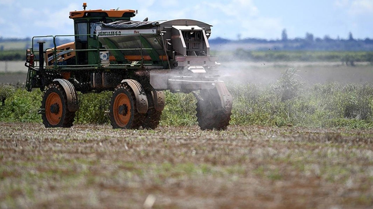 Pestisit nedir? Gıdalardan pestisit nasıl temizlenir?