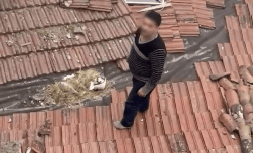 Polisten kaçan firari çatıda enselendi