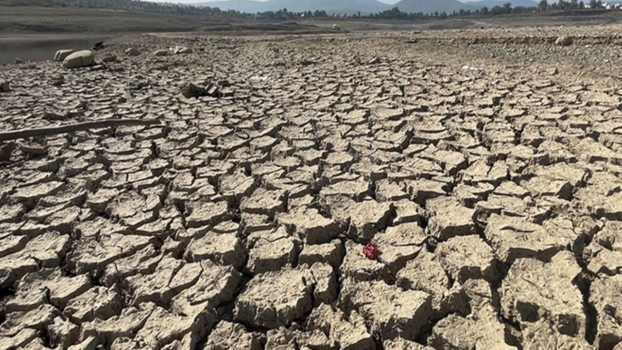 Rekor düşüş! 52 yılda ilk kez bu kadar geriledi