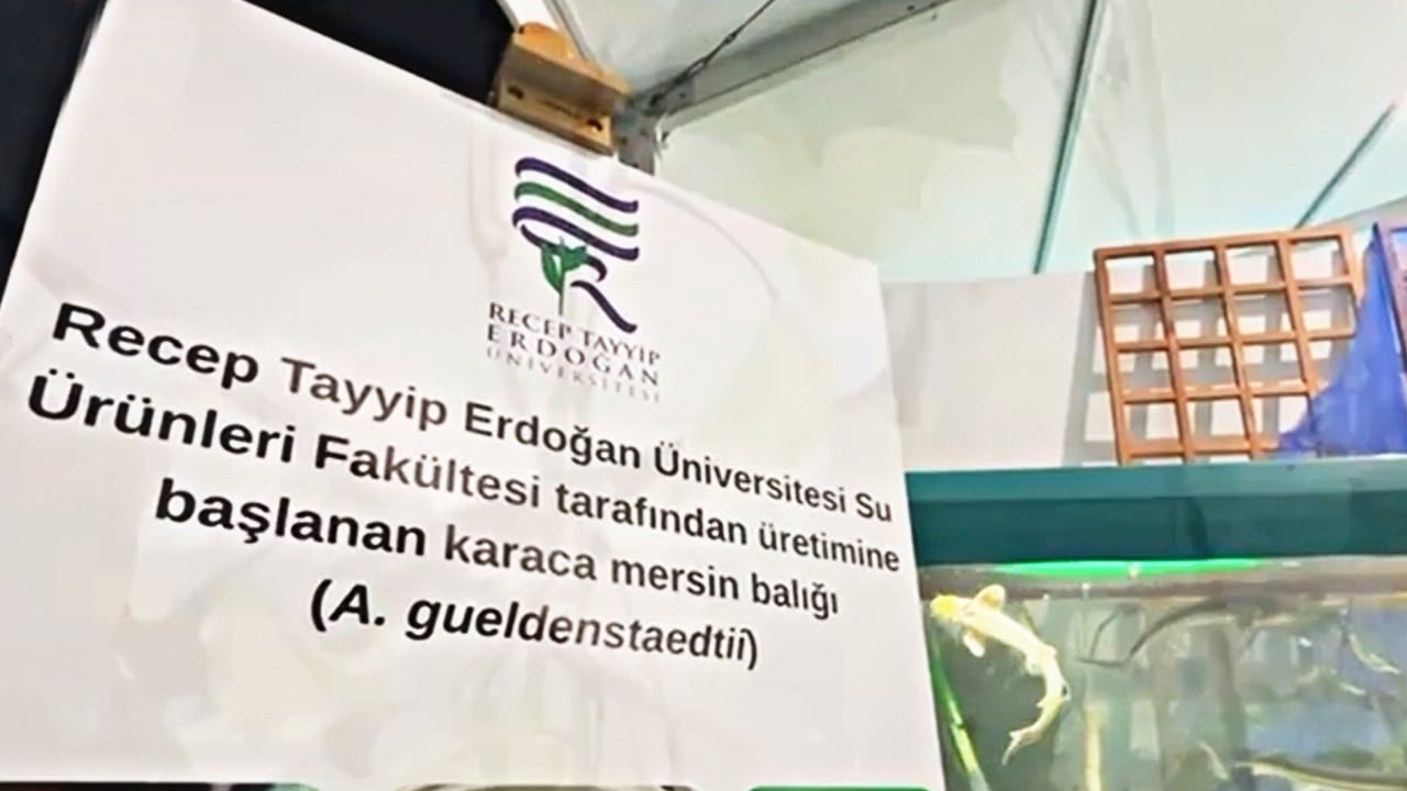 Rize’den Dünyaya "Paha Biçilemez Mavi": Doğaya ve Biyoçeşitliliğe Sanatsal Dokunuş