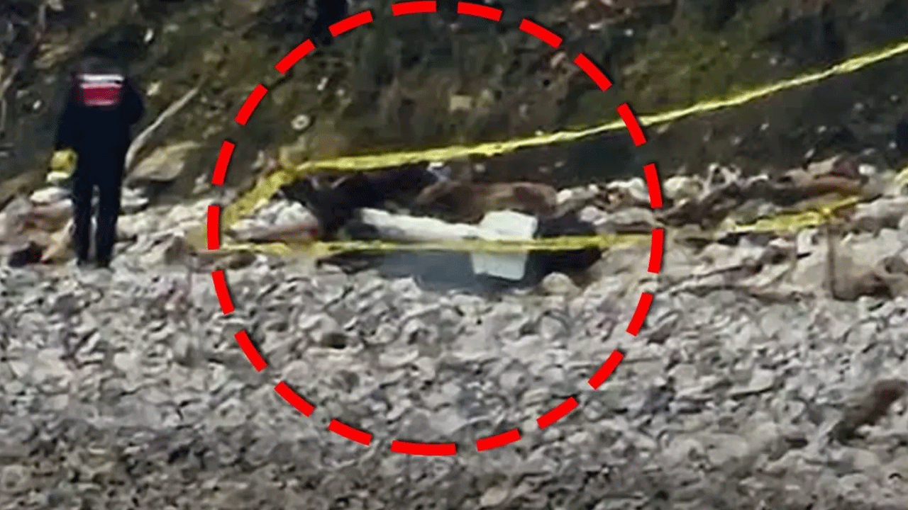 Sahildeki şüpheli cisim alarma geçirdi!