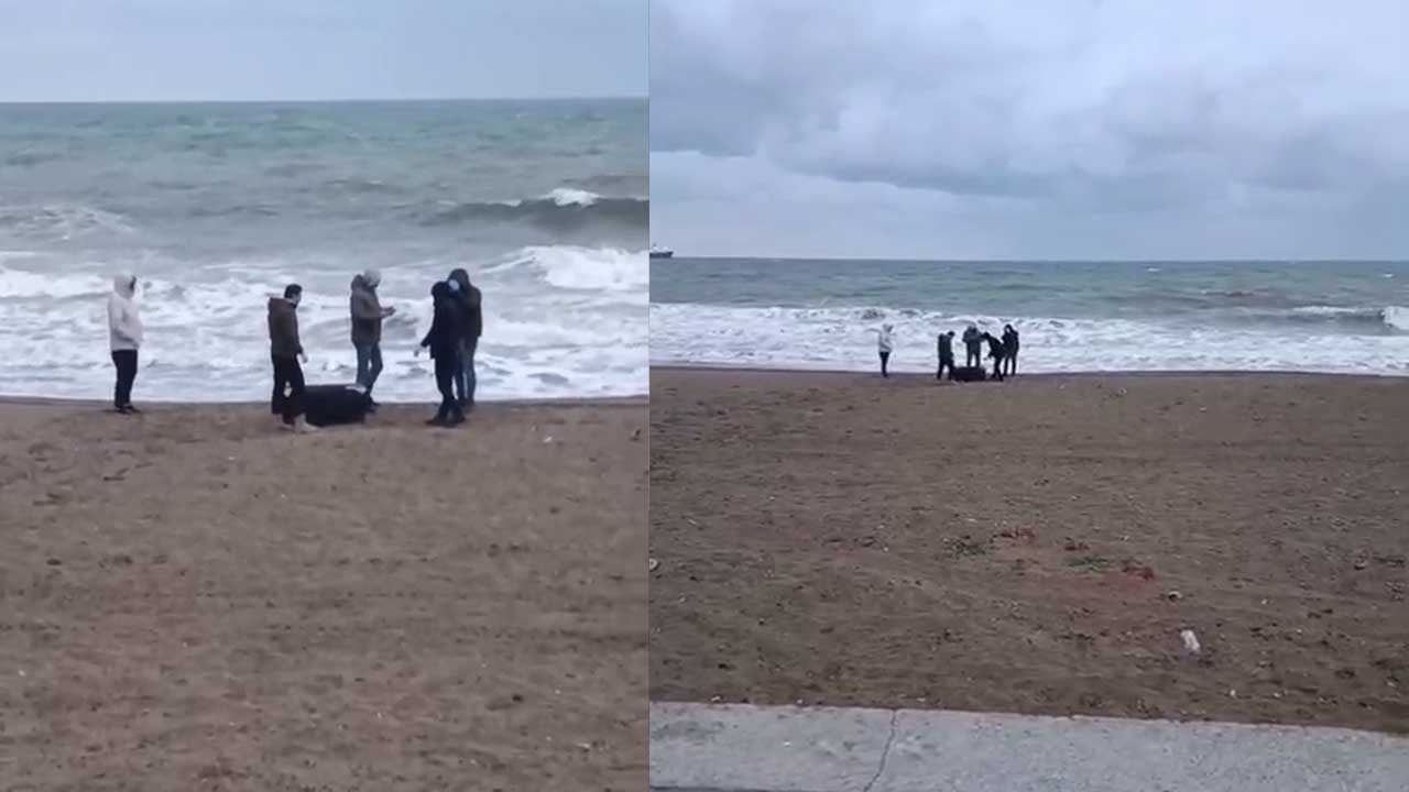 Sahile vuran çantadan uyuşturucu çıktı