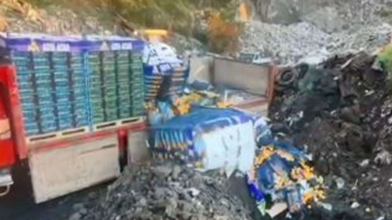 Sarp Sınır Kapısı’nda 6,1 ton mandalina imha edildi