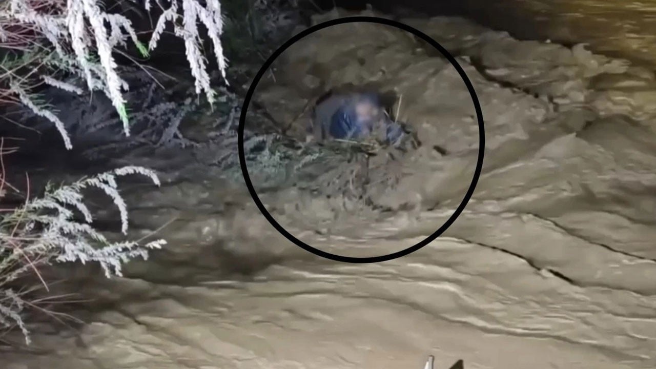 Selde 4 saat boyunca dala tutunarak hayatta kaldı