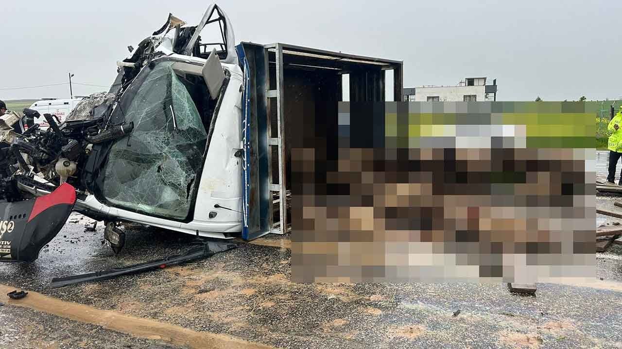 Siirt'te feci kaza: Kamyonetle otomobil çarpıştı, ortalık savaş alanına döndü!