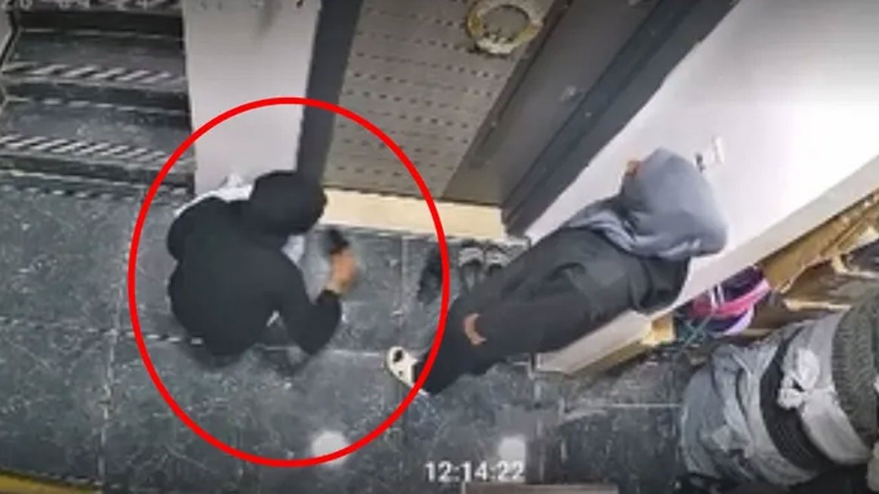 Siirt’te mide bulandıran hırsızlık