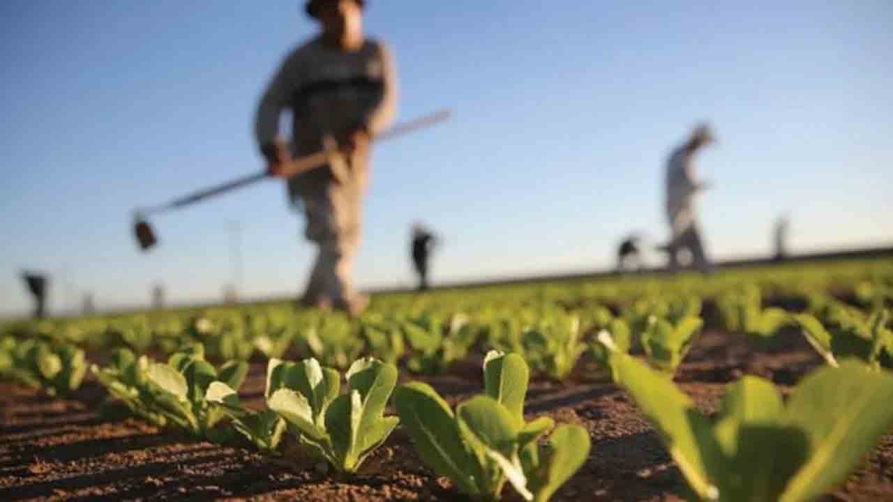 Spekülatif fiyatlara önlem: Gübrede bazı ürün grubunda vergi sıfırlandı