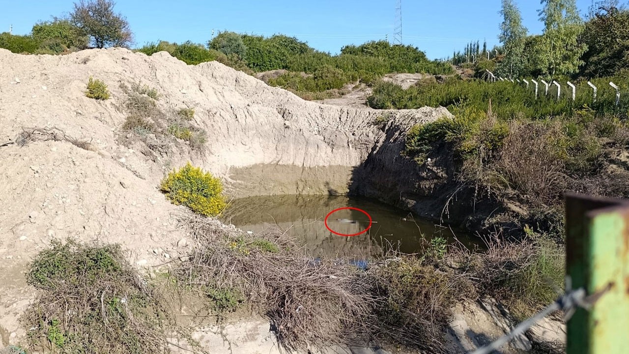 Su dolu çukurda yaşlı kadının cansız bedeni bulundu