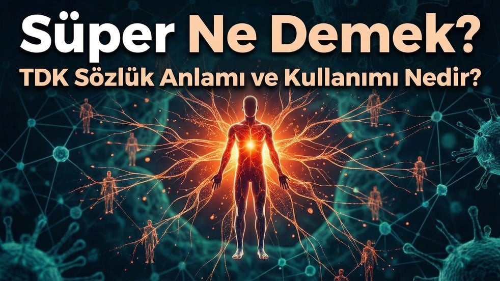 Süper Taşıyıcı Ne Demek? TDK Sözlük Anlamı ve Kullanımı Nedir?