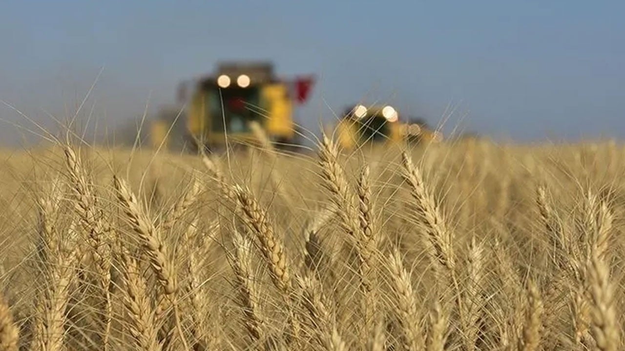 Tahıl piyasasında ibre tersine döndü! ABD buğdayında sert yükseliş