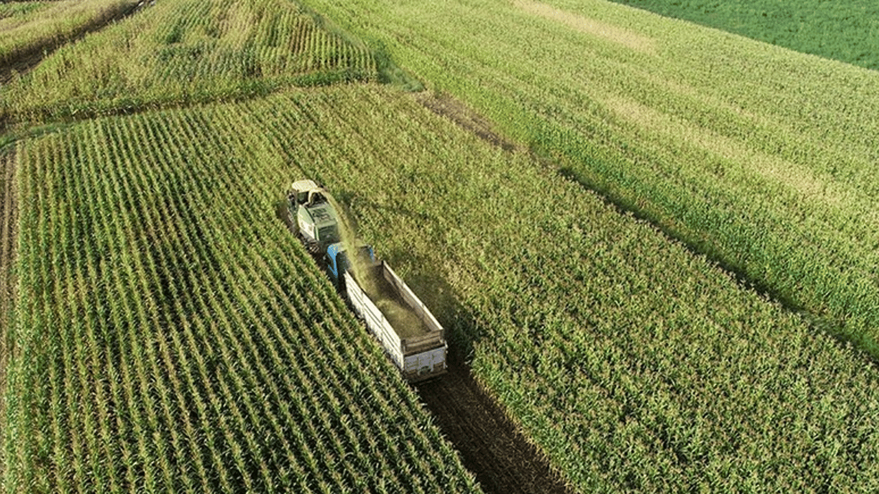 Tarım Bakanlığı hibeleri artırdı, kırsal kalkınma hızlanıyor!