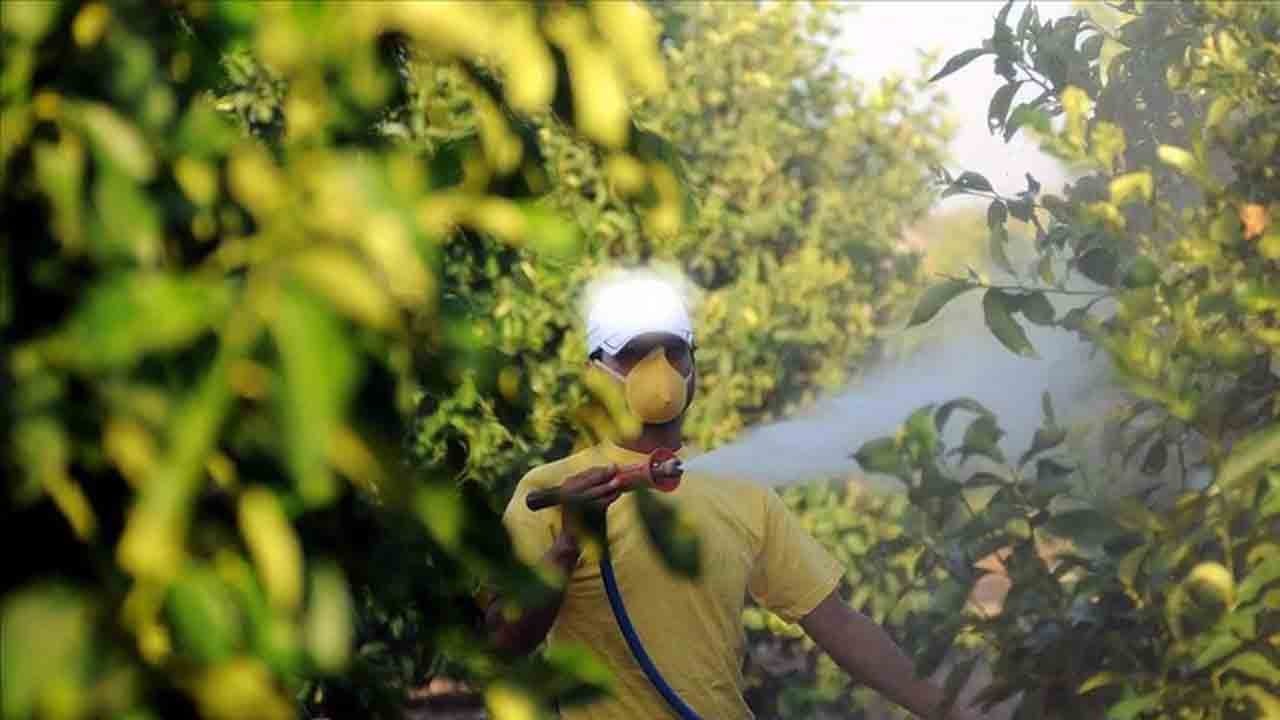 Tarım ilacı Parkinson riskini artırıyor: Beyin hücrelerine zarar veriyor