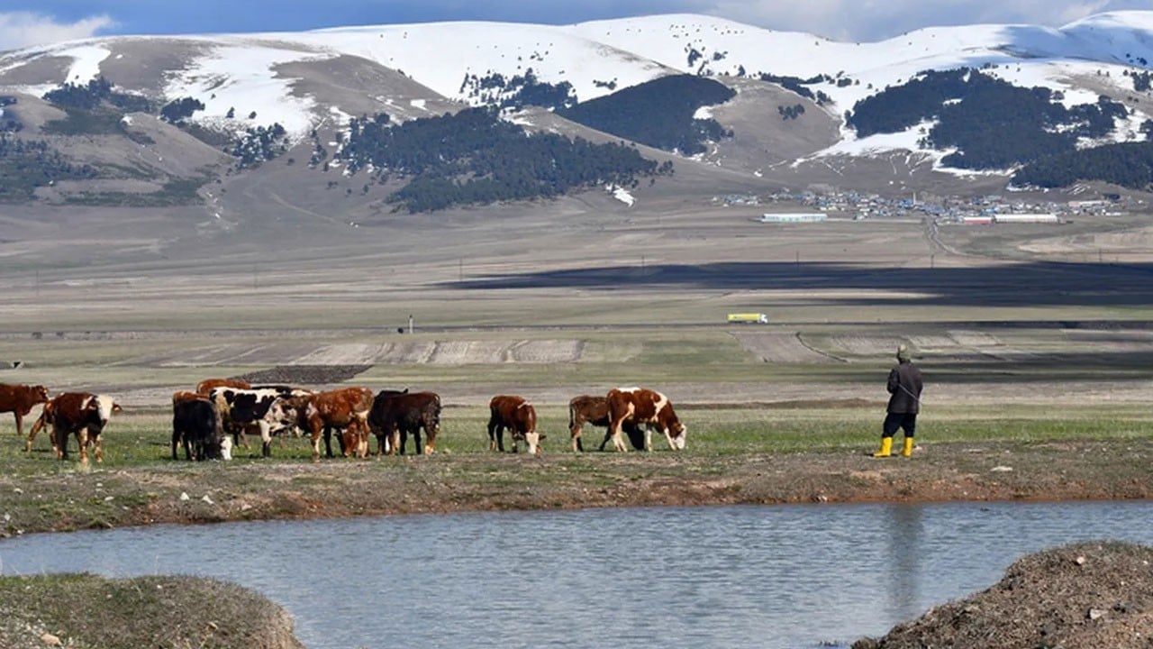 Tarım ve Orman Bakanlığından yalanlama: Meralar yasaklanmadı