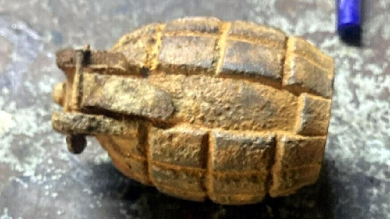 Tarlada buldu, dükkana götürdü! 10 yaşındaki çocuk herkesi korkuttu