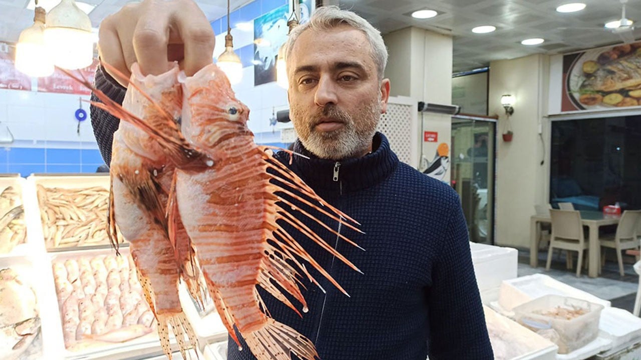 Tezgaha konulması yasak! Bu zehirli balık yok satıyor