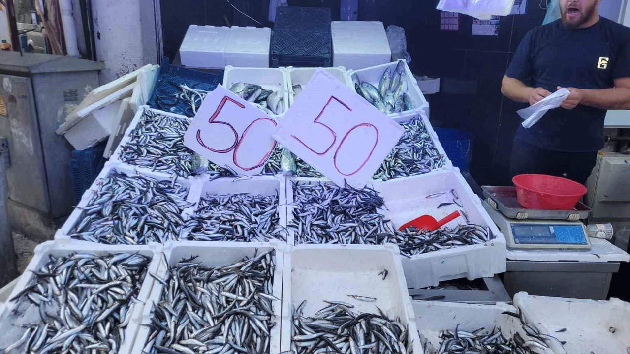Tezgahlarda hamsi bereketi! Fiyatı düştü