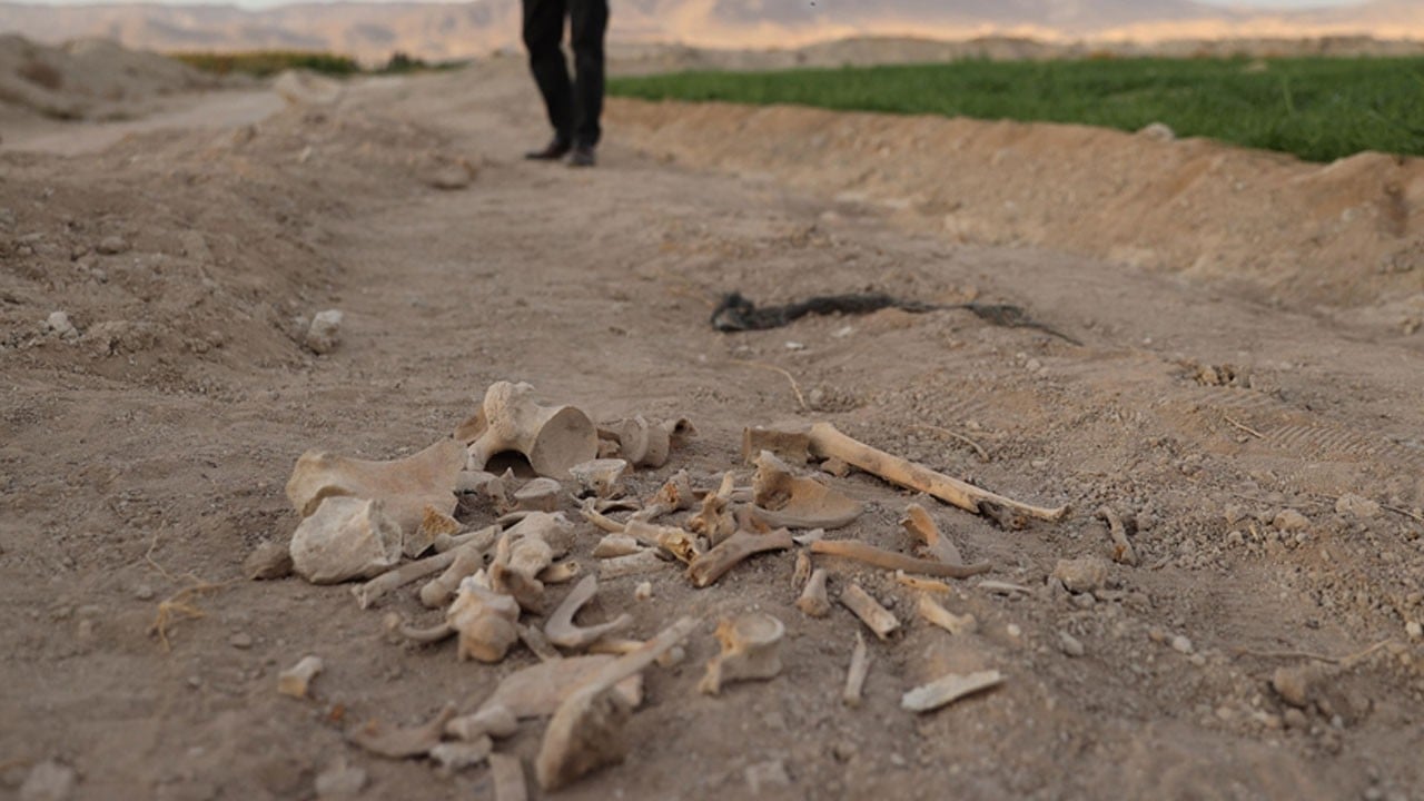 Toprak altındaki sır açığa çıktı! İdlib’de toplu mezar