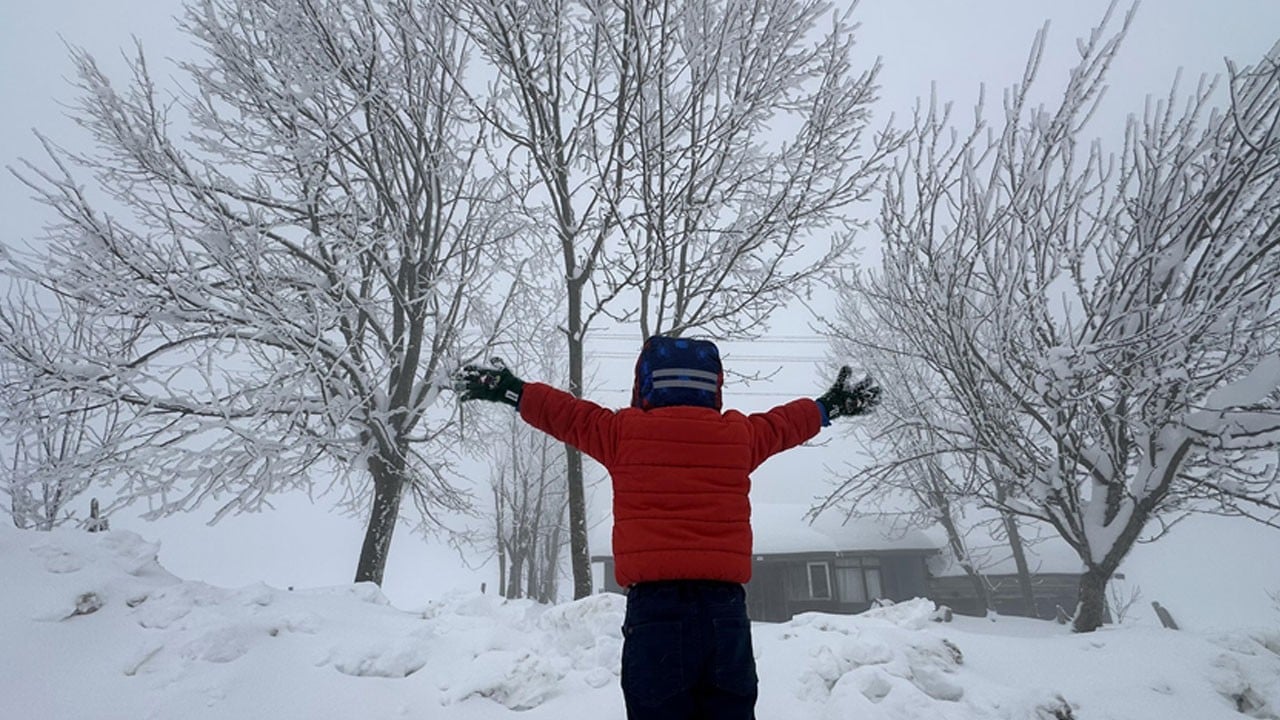 Türkiye buz kesti! İşte okulların tatil olduğu iller