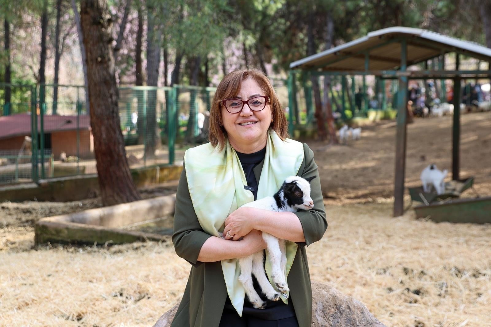 Türkiye'de doğan ilk zürafa yavrusu Gaziantep Doğal Yaşam Parkı'nda!