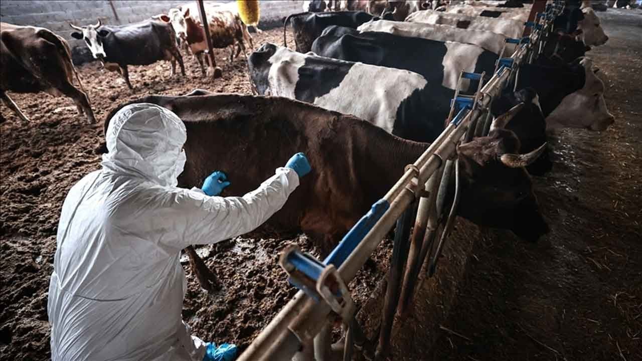 Türkiye’den Güney Afrika’ya "şifa" sevkiyatı: 2 milyon doz aşı yola çıktı!