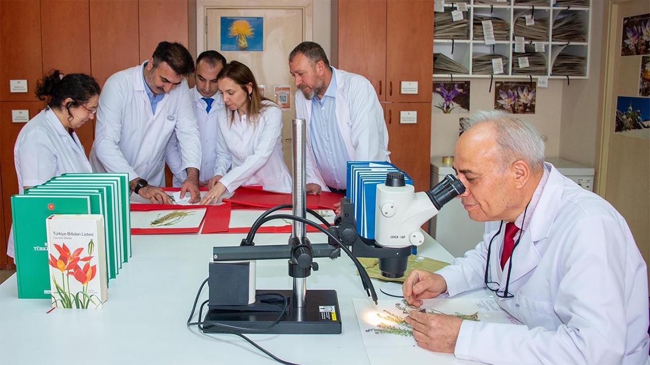 Türkiye’nin florası büyüyor Toroslar'da 4 yeni bitki türü keşfedildi