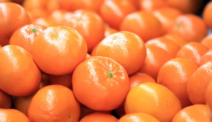 Turunçgil ihracatı 697,7 milyon dolara ulaştı