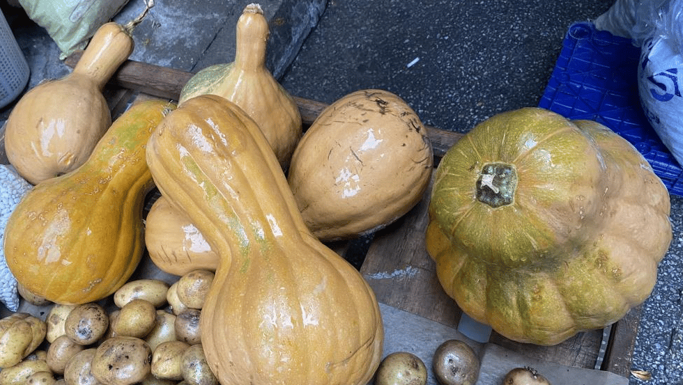 Turuncu şifa! Hem kendisi hem de çekirdeği şifa