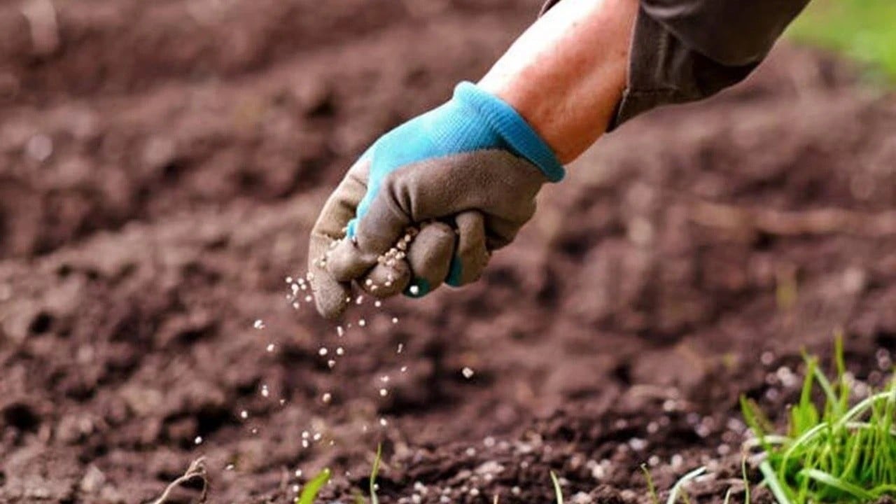 Üre ithalatında gümrük vergileri sıfırlandı