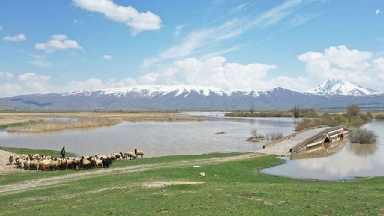 Uzmanlar üstüne basa basa uyarıyor! Yağışlar sizi yanıltmasın