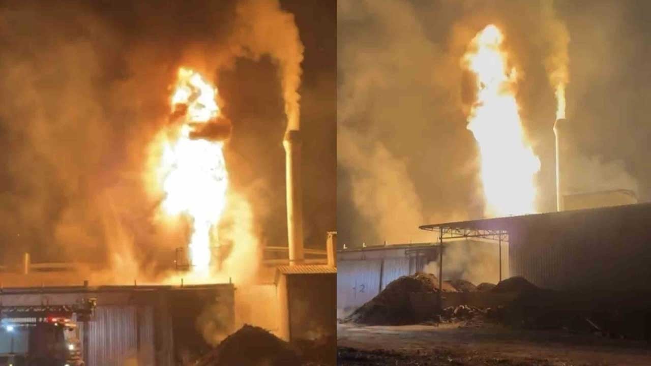 Yağ kazanı patlayan entegre tesisi alev alev yandı
