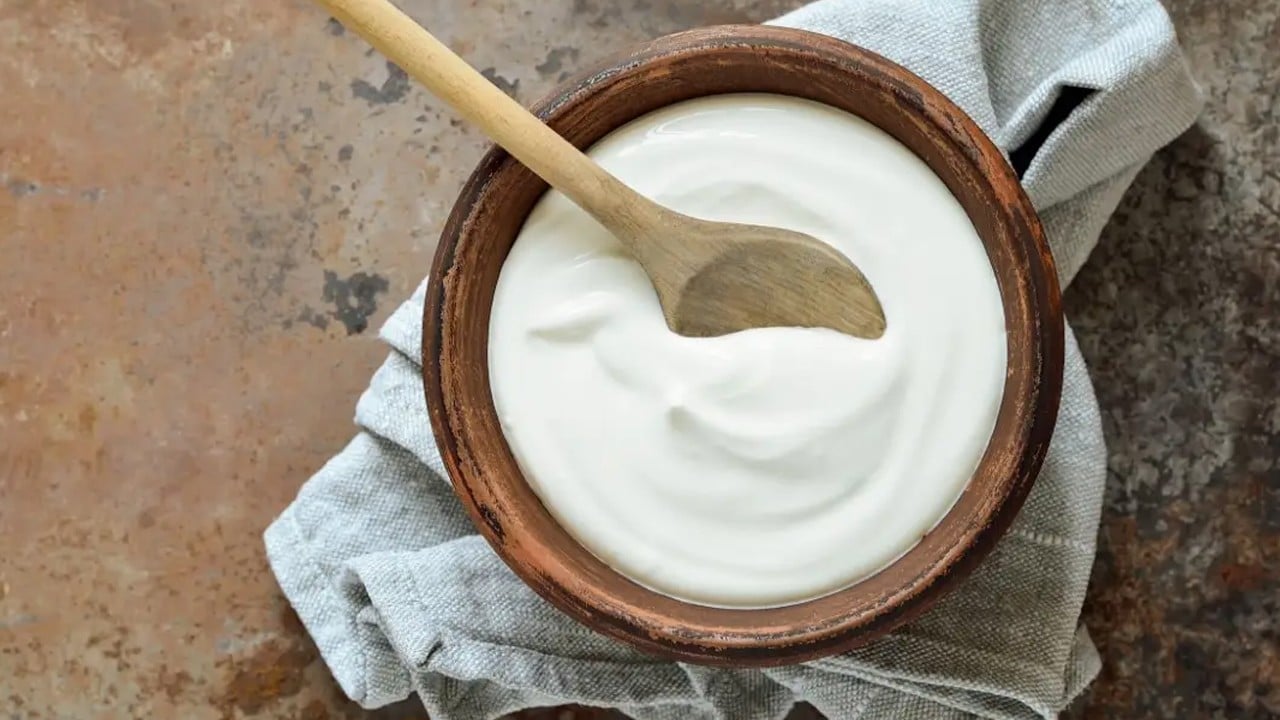 Yoğurt nasıl mayalanır? Taş gibi yoğurt yapmanın püf noktaları ve merak edilenler