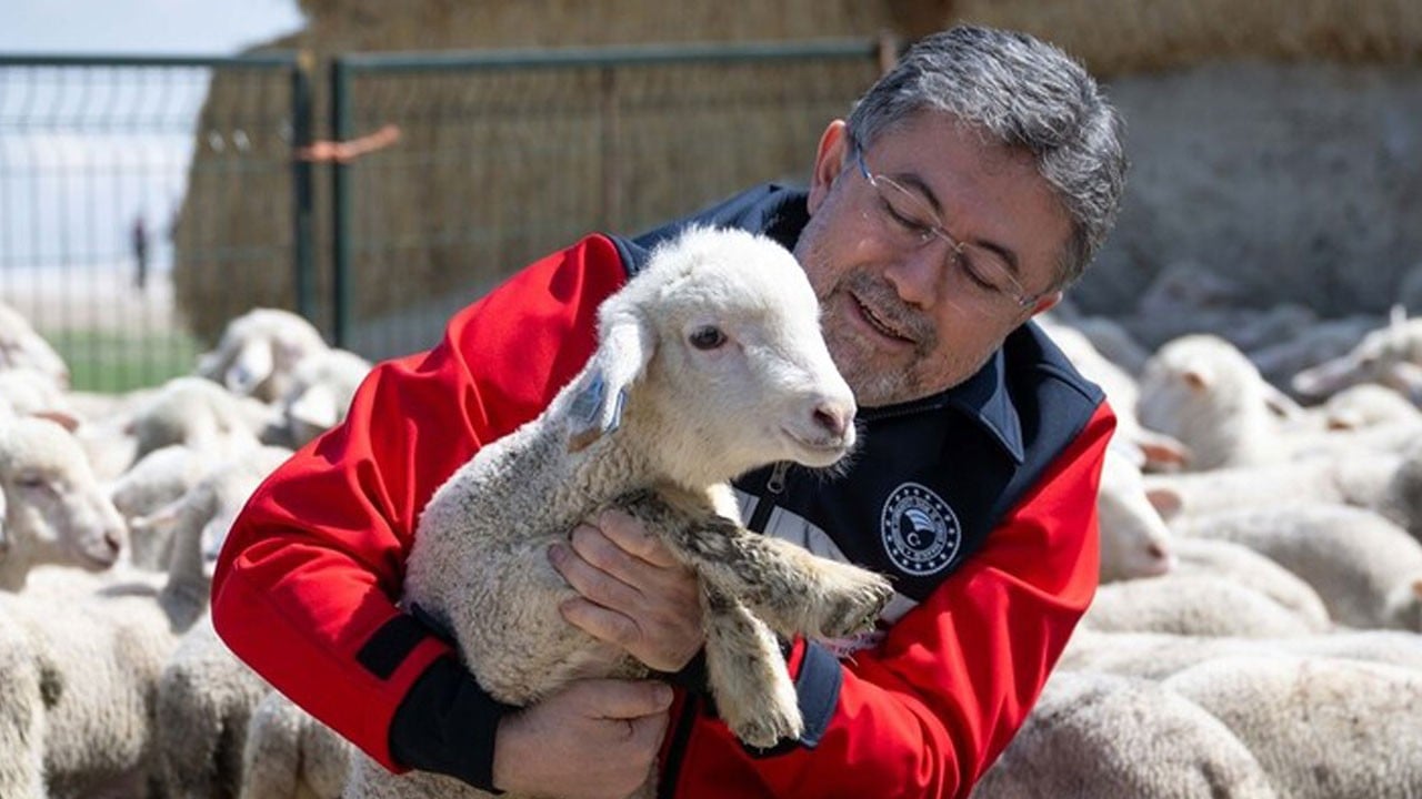 Yumaklı’dan ‘Kırsalda Bereket Küçükbaşa Destek Projesi’ açıklaması: En iyi sürülerden vereceğiz