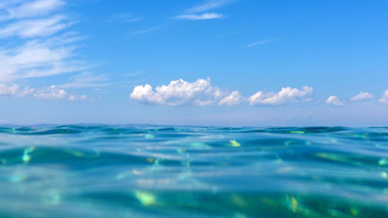 Yüzde 10’u koruma altına alındı! Okyanuslar için tarihi adım