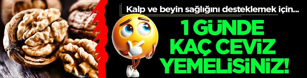 Bir günde kaç ceviz yenmeli! Yaklaşık 30 gram, 7-8 adede kadar...