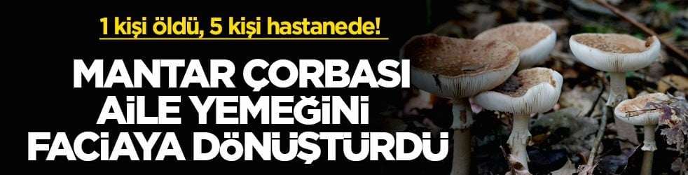 1 kişi öldü, 5 kişi hastanede! Mantar çorbası aile yemeğini faciaya dönüştürdü
