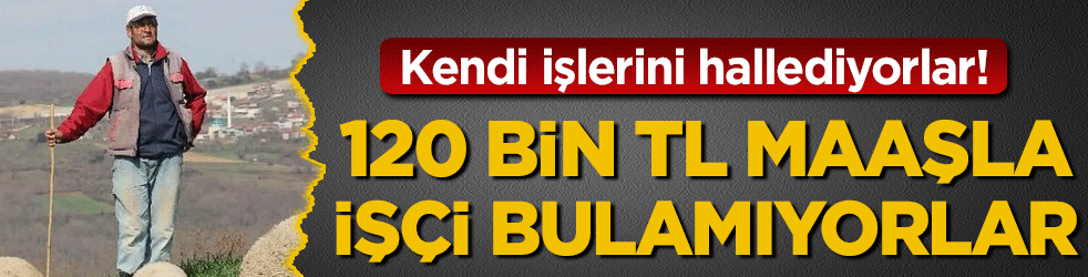 120 bin lira maaşla işçi bulamıyorlar! Kendi işlerini hallediyorlar!
