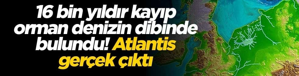 16 bin yıldır kayıp orman denizin dibinde bulundu! Atlantis gerçek çıktı