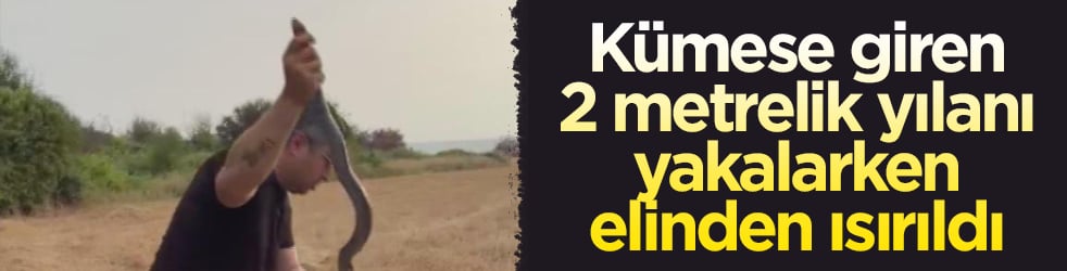 2 metrelik yılan kümese girdi! ‘Yılancı Kemal’i elinden ısırdı 