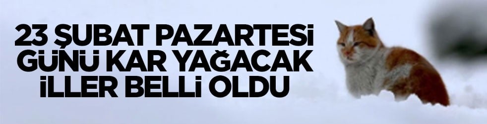 23 Şubat Pazartesi günü kar yağacak iller belli oldu