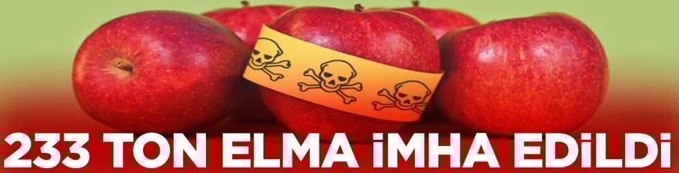 233 ton elma imha edildi
