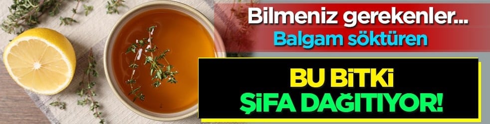  24 Saatte gripten nasıl kurtulursunuz? Kekiği her sabah aç karnına içerseniz! Bakın kat kat daha faydalı