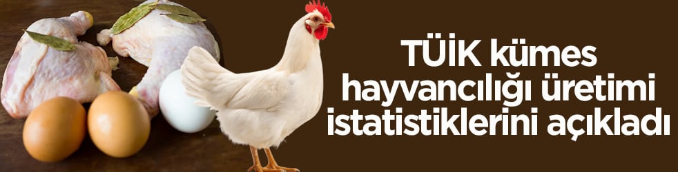 254 bin tavuk eti, 1 milyar 860 milyon 594 bin adet tavuk yumurtası üretildi