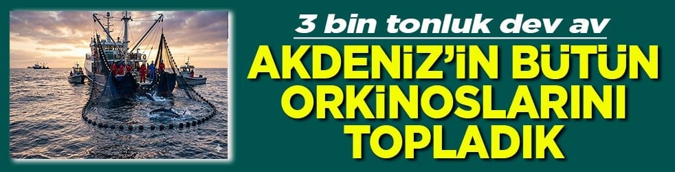 3 bin tonluk dev av Akdeniz’in bütün orkinoslarını topladık
