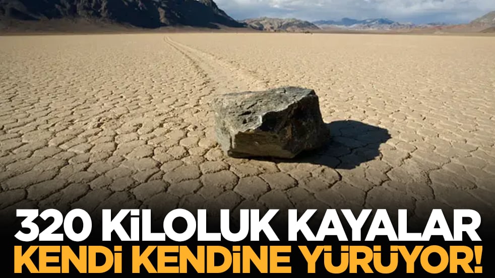 320 kiloluk kayalar kendi kendine yürüyor!