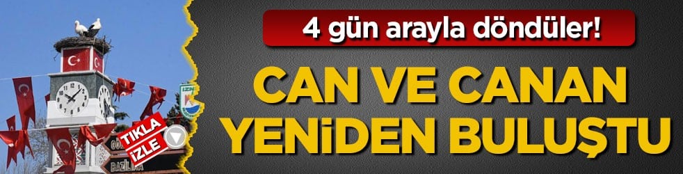 4 gün arayla döndüler! Can ve Canan yeniden buluştu