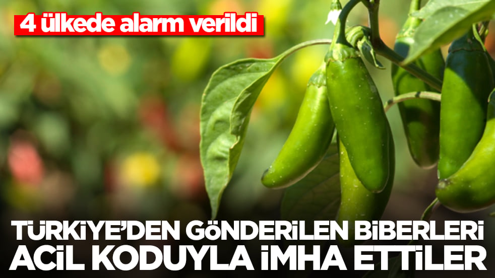 4 ülkede alarm verildi: Türkiye'den gönderilen biberleri acil koduyla imha ettiler
