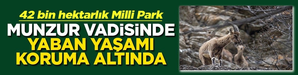 42 bin hektarlık Milli Park Munzur vadisinde yaban yaşamı koruma altında