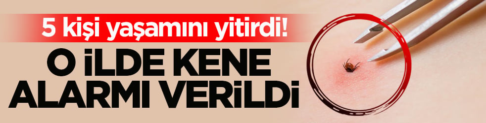 5 kişi yaşamını yitirdi! O ilde kene alarmı verildi 